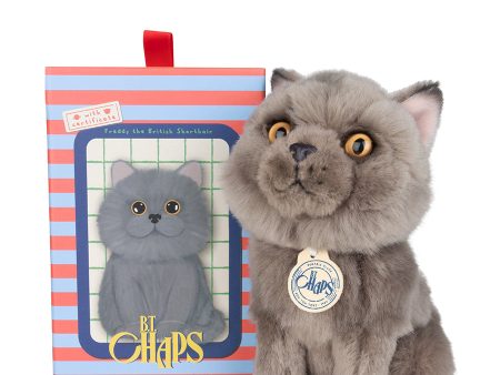 B.T. Chaps - Freddy The British Shorthair Floppy In Giftbox Fashion