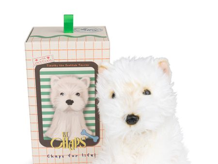 B.T. Chaps - Timothy The Scottish Terrier In Giftbox Fashion