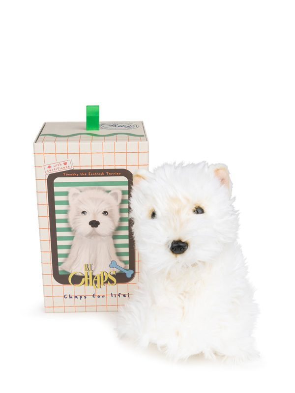 B.T. Chaps - Timothy The Scottish Terrier In Giftbox Fashion