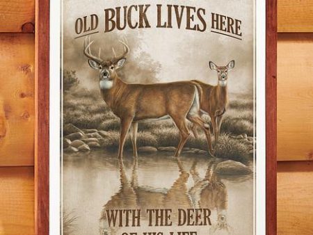 Tough Old Buck Lives Here - 12  x 18  Vintage Framed Tin Sign Fashion