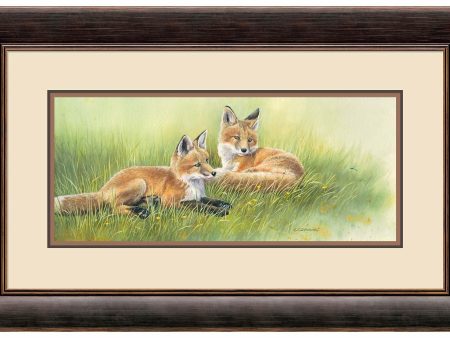 Time Out—Fox Kits For Discount