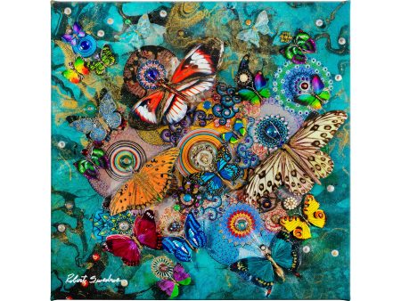 Butterflies From Across the Sea - 14  x 14  Gallery Wrapped Canvas Online Sale