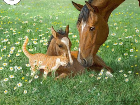 Summer Daisies—Horses & Cat For Discount