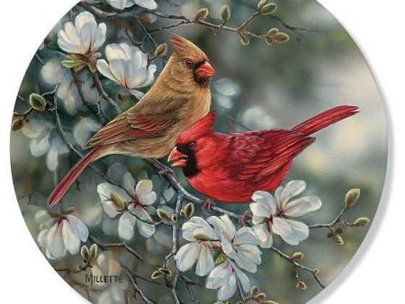 Cardinals - Coasters Online now