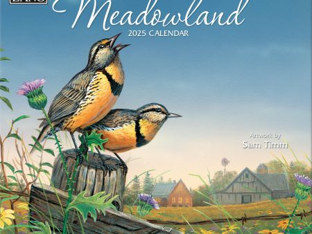 2025 Meadowland Wall Calendar For Discount