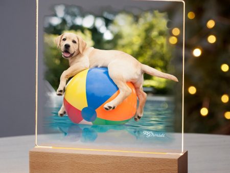 Ducky - Yellow Lab - Acrylic Night Light Hot on Sale