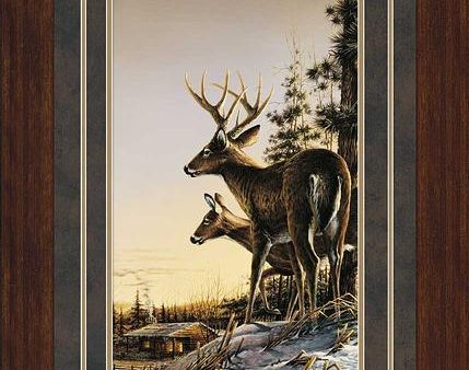 All Clear-Whitetail Deer - Pinnacle Print For Sale