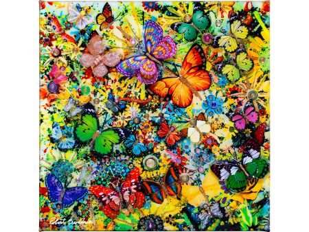 Butterfly Spring - 14  x 14  Gallery Wrapped Canvas For Cheap