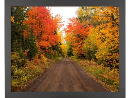 Autumn Bliss - Art Prints For Discount