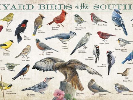 Backyard Birds of the Southeast Online Hot Sale