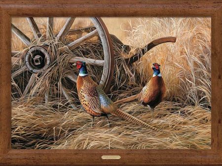 Autumn Glow - Pheasants - 30  x 42  Framed Gallery Canvas Discount