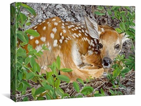 Woodland Wonder—Fawn For Discount