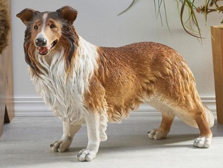 Collie Dog Online Hot Sale