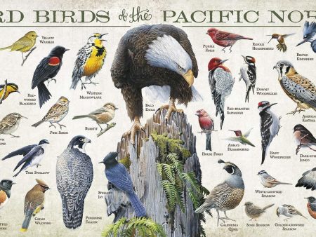 Backyard Birds of the Pacific Northwest Supply