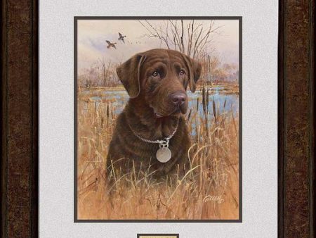 Top Dog—Chocolate Lab Discount