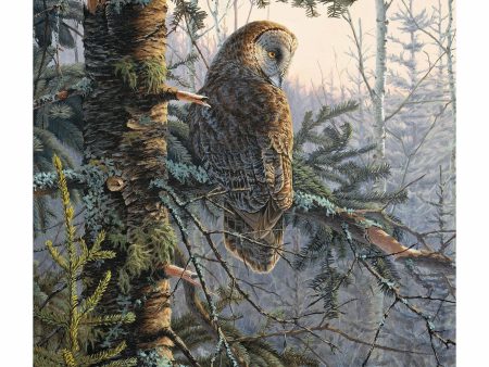 Boreal Twilight-Great Grey Owl Online now