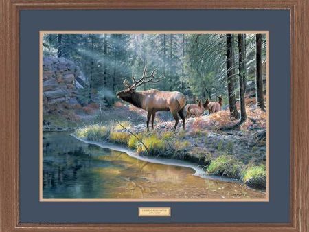 Crossing Bear Canyon—Elk - GNA Premium Print Hot on Sale