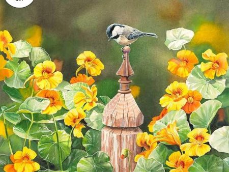 Chickadee & Nasturtiums For Sale