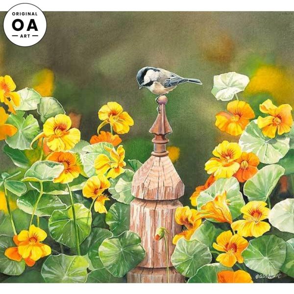 Chickadee & Nasturtiums For Sale