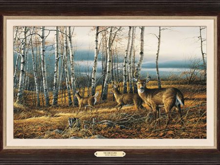 The Birch Line - Encore Canvas Hot on Sale