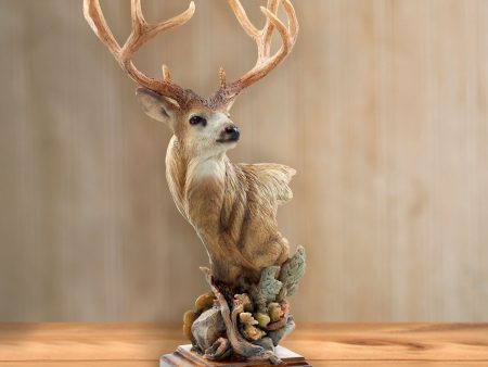 High Chaparral Mule Deer - Sculpture Fashion