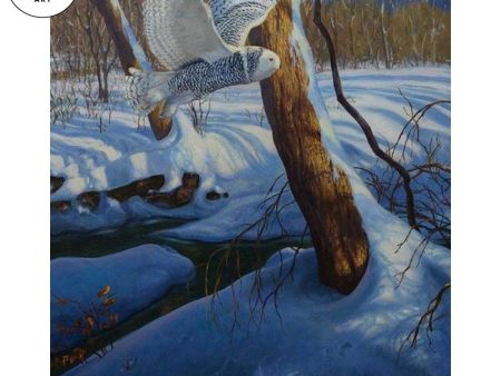 Snowy—Snowy Owl on Sale