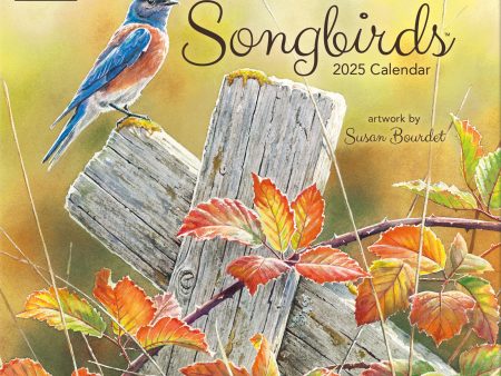 2025 Songbirds Wall Calendar For Cheap