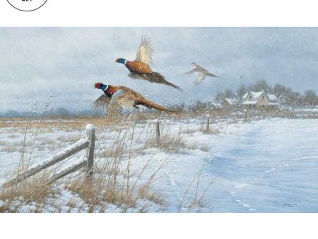 *Original* Snow Birds—Pheasants by Michael Sieve 28  x 48  For Cheap