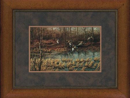 Apple River Mallards - Encore Print For Discount