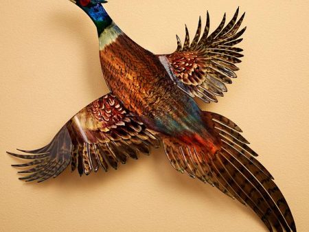 Ringneck Pheasant - Metal Wall Art Online Hot Sale