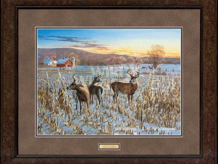 Winter Sunrise - GNA Premium Print Hot on Sale