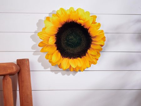 Sunflower Hot on Sale