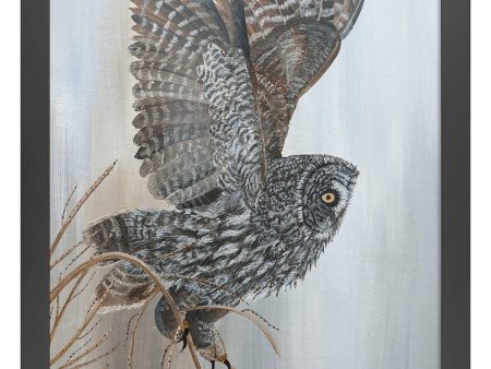 Great Gray Owl Takes Flight_Art Prints on Sale