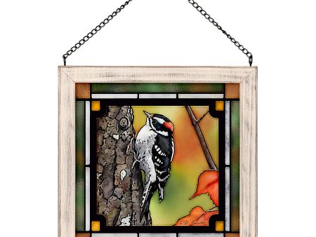 Downy Woodpecker Fashion