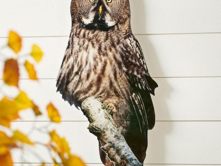 Great Gray Owl Supply