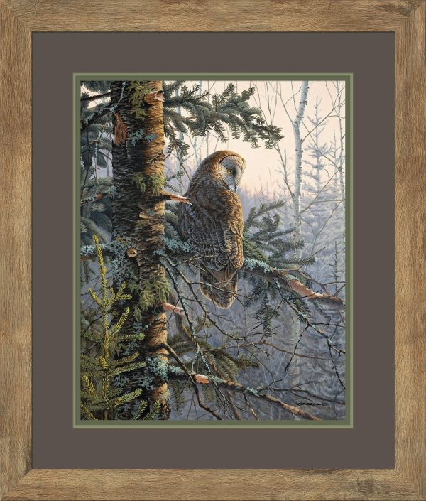 Boreal Twilight-Great Grey Owl Online now