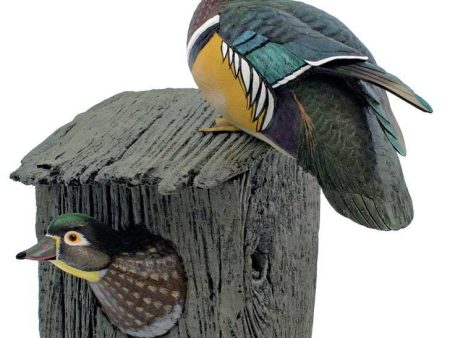 Nesting Wood Duck Pair For Discount