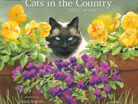 2025 Cats In The Country Wall Calendar For Cheap