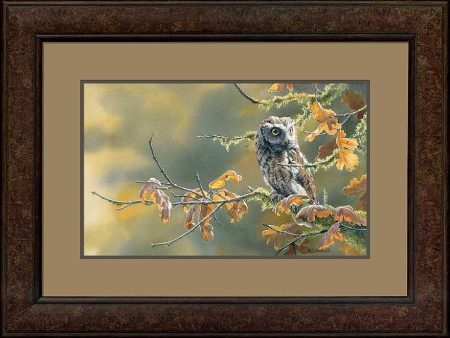 Autumn Oak—Screech Owl - Limited Edition Paper Online