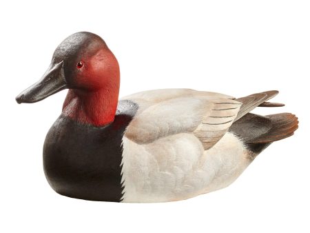 Canvasback Online now