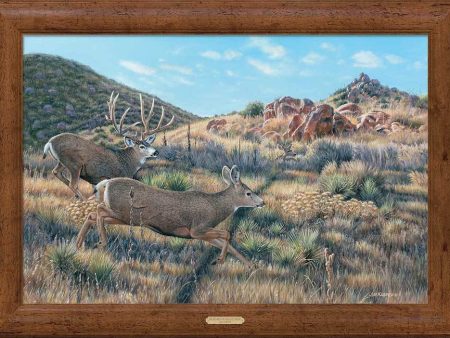 In Pursuit—Mule Deer - 30  x 42  Framed Gallery Canvas Supply