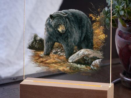 Streamside—Black Bear For Cheap