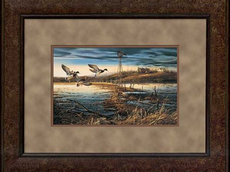 Spring Run—Off—Mallards - Encore Print For Discount