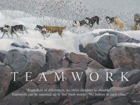 Teamwork—Huskies on Sale