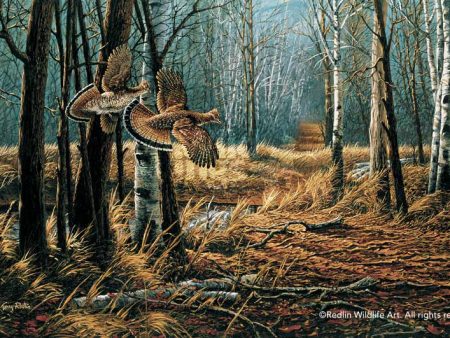 Old Logger s Trail—Ruffed Grouse - Encore Print Discount