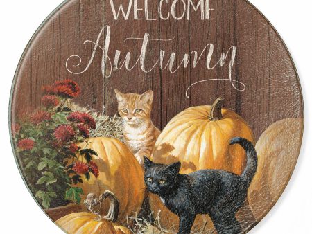 Welcome Autumn - Cats For Sale