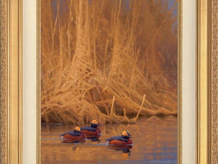 Spring Royals—Horned Grebes; Standard Numbered Edition (SN) Online now