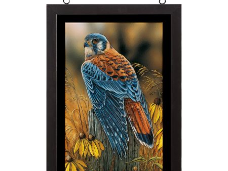 Fencepost Perch - Kestrel - 20  x 14  Stained Glass Art Online