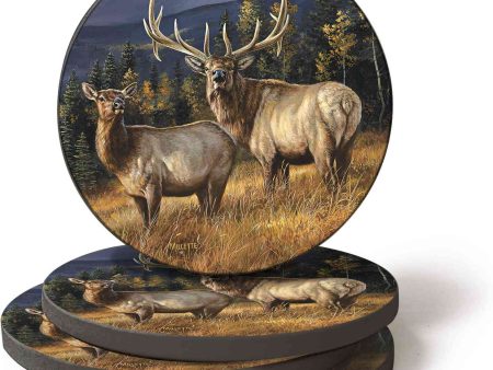 Elk - Coasters (Set of 4) For Discount