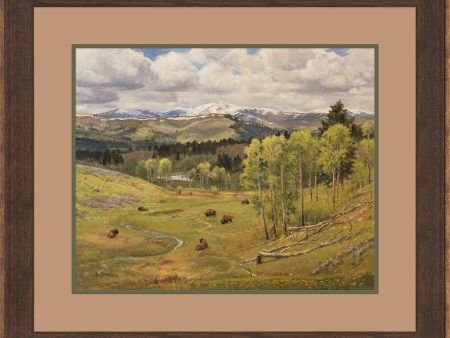 View From Grizzly Meadows-Bison Hot on Sale